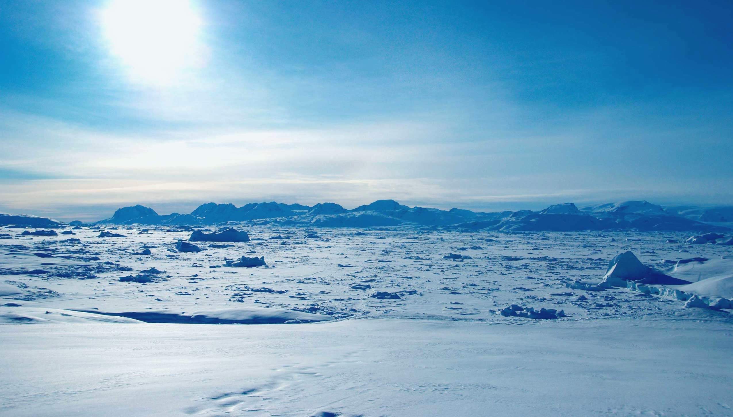 artic-pic